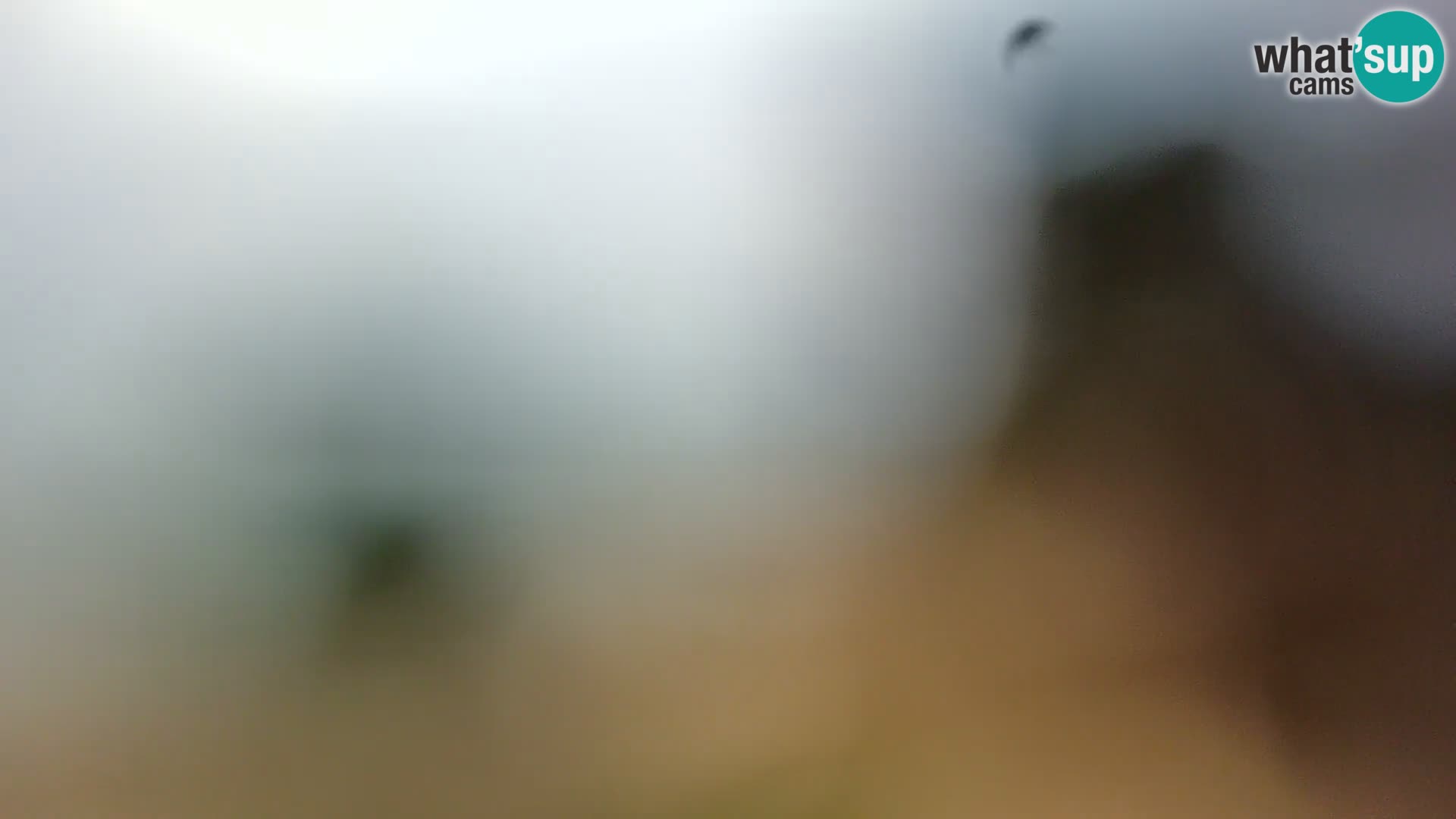 Spletna kamera plaža Borik Rovinj