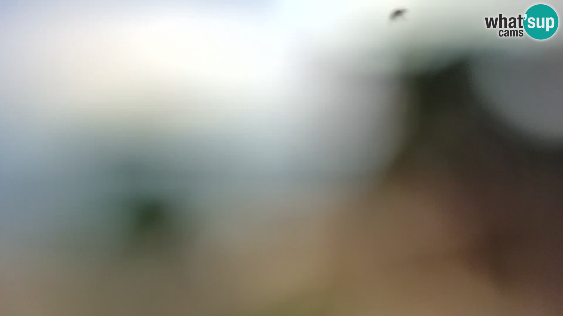 Livecam Borik plage Rovinj – Istrie