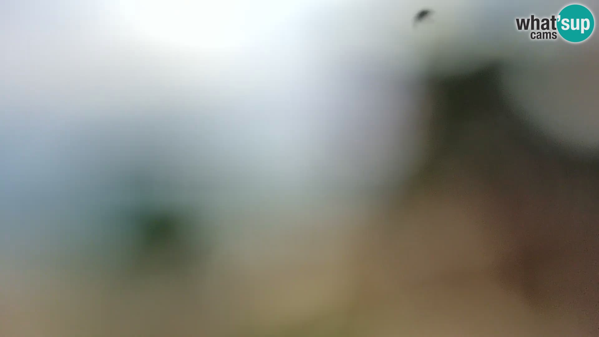 Spletna kamera plaža Borik Rovinj