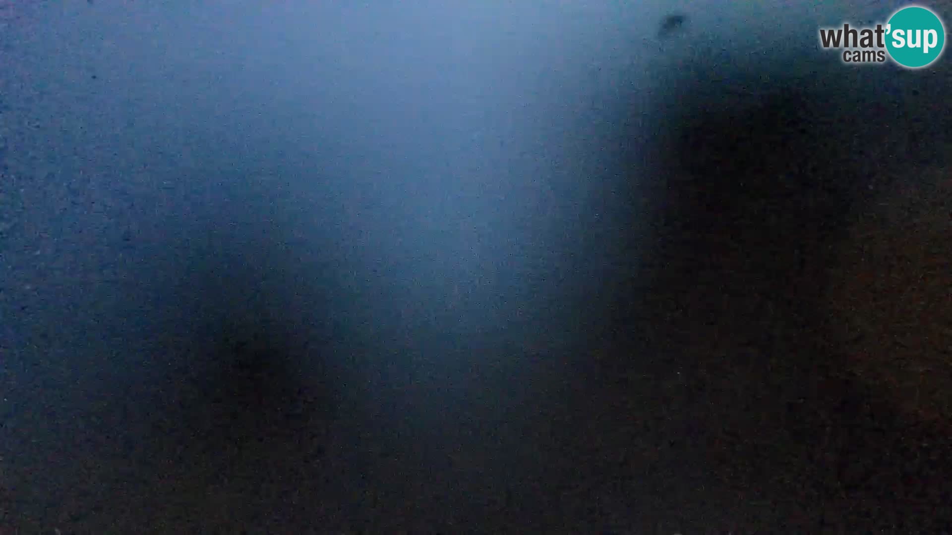 Webcam Spiaggia Borik a Rovigno – Istria