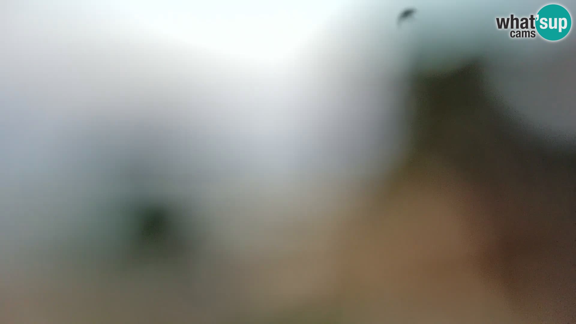 Webcam Borik Strand Rovinj – Istrien