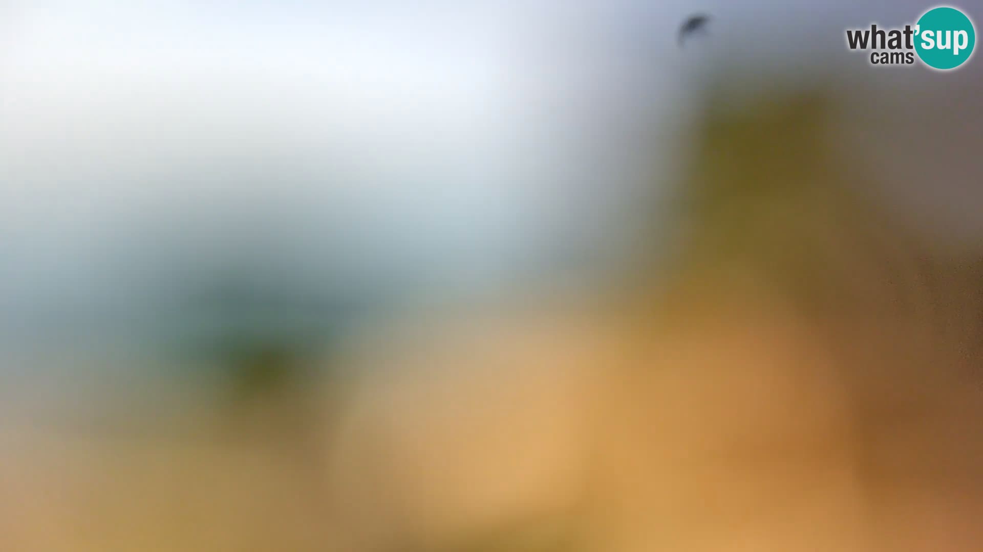 Camera en vivo Borik playa Rovinj – Istria