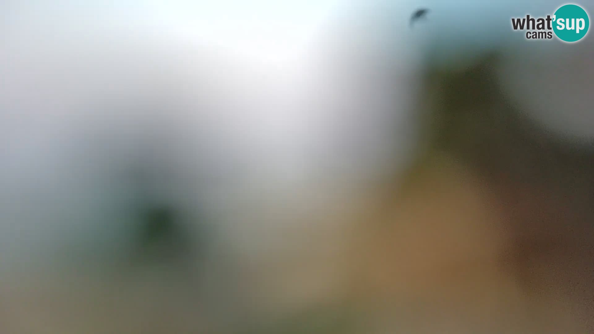 Webcam Borik Strand Rovinj – Istrien