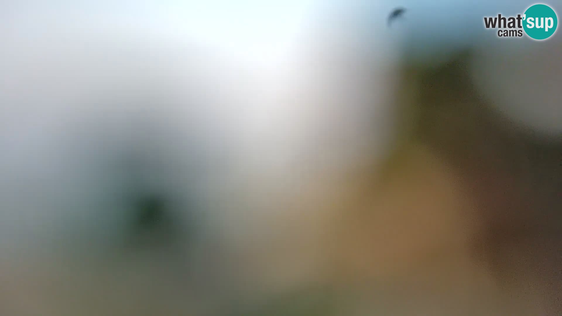 Camera en vivo Borik playa Rovinj – Istria