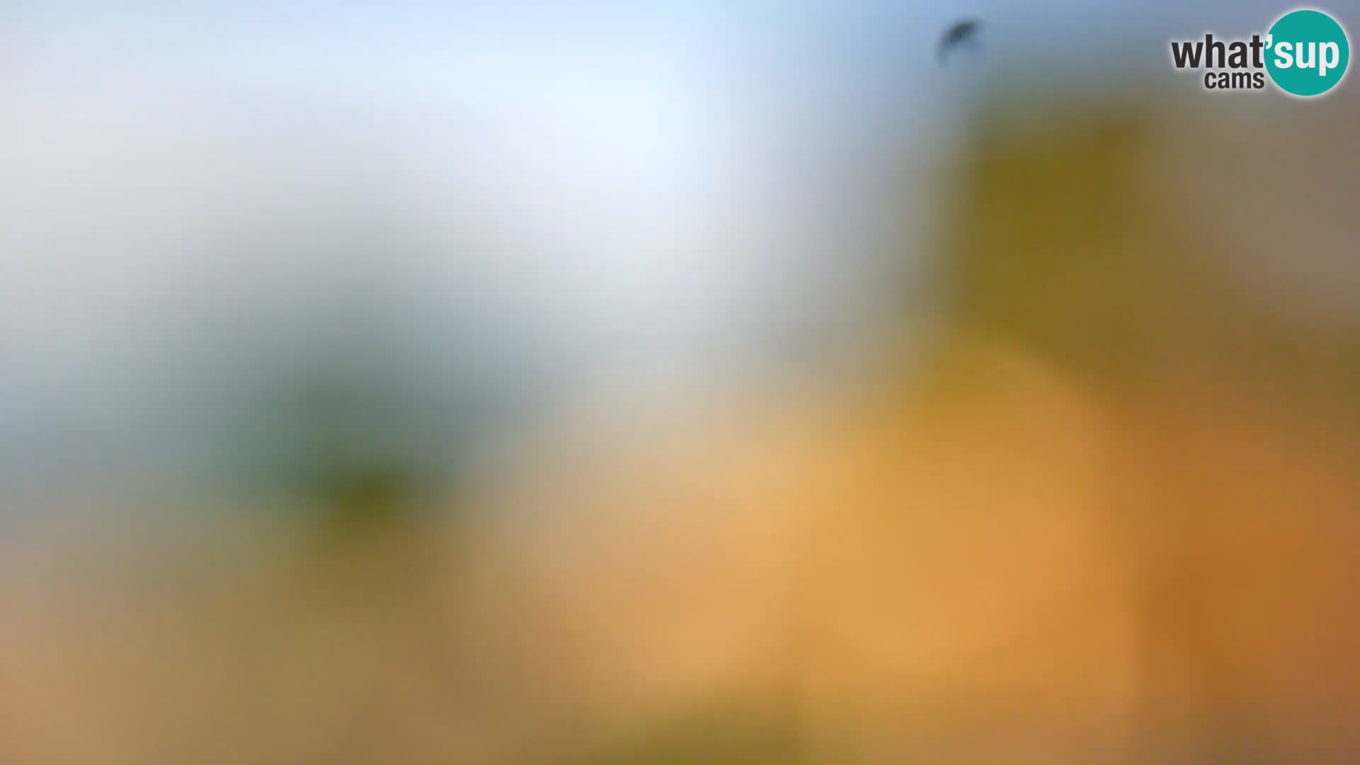 Webcam Borik Strand Rovinj – Istrien