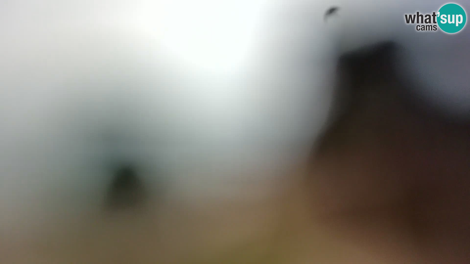 Webcam Spiaggia Borik a Rovigno – Istria