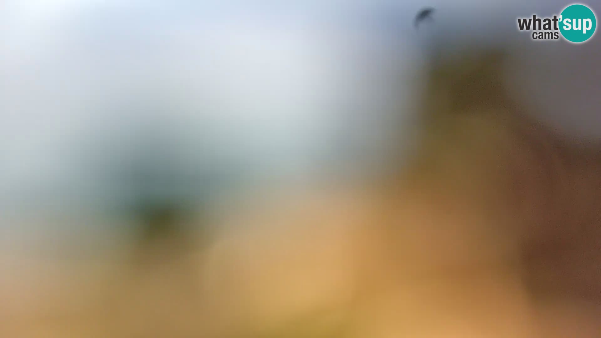 Livecam Borik plage Rovinj – Istrie