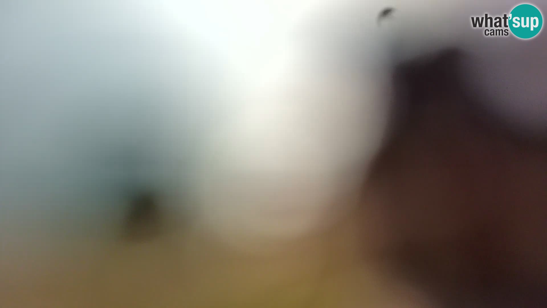 Livecam Borik plage Rovinj – Istrie