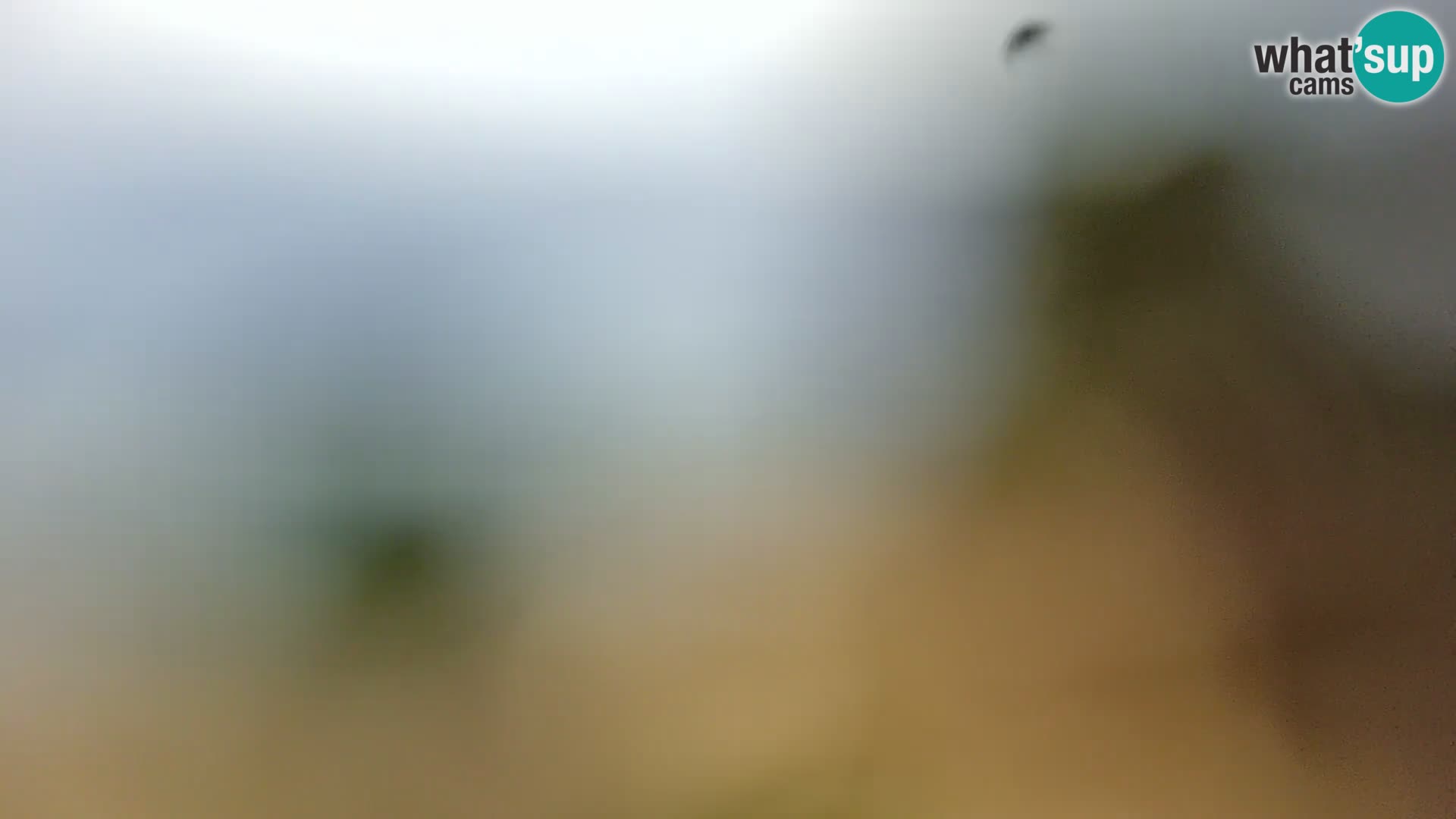 Web kamera Borik plaža Rovinj – Istra