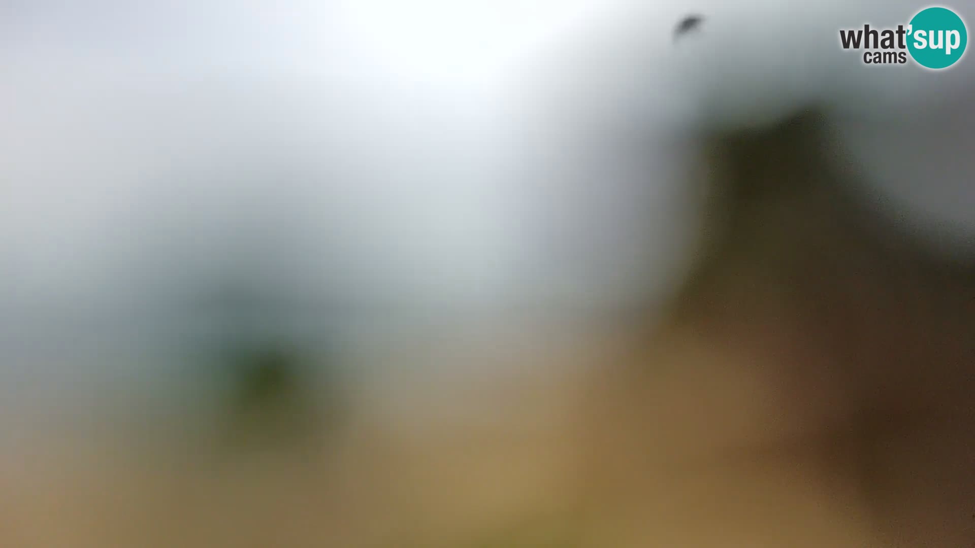 Webcam Borik Strand Rovinj – Istrien