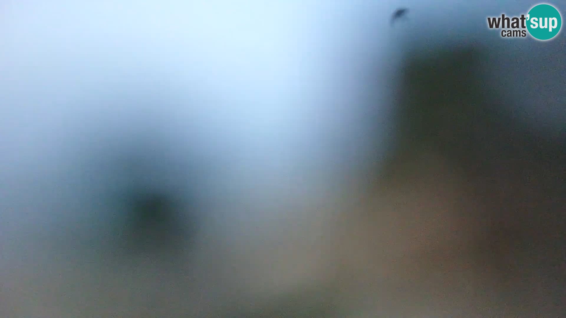 Camera en vivo Borik playa Rovinj – Istria