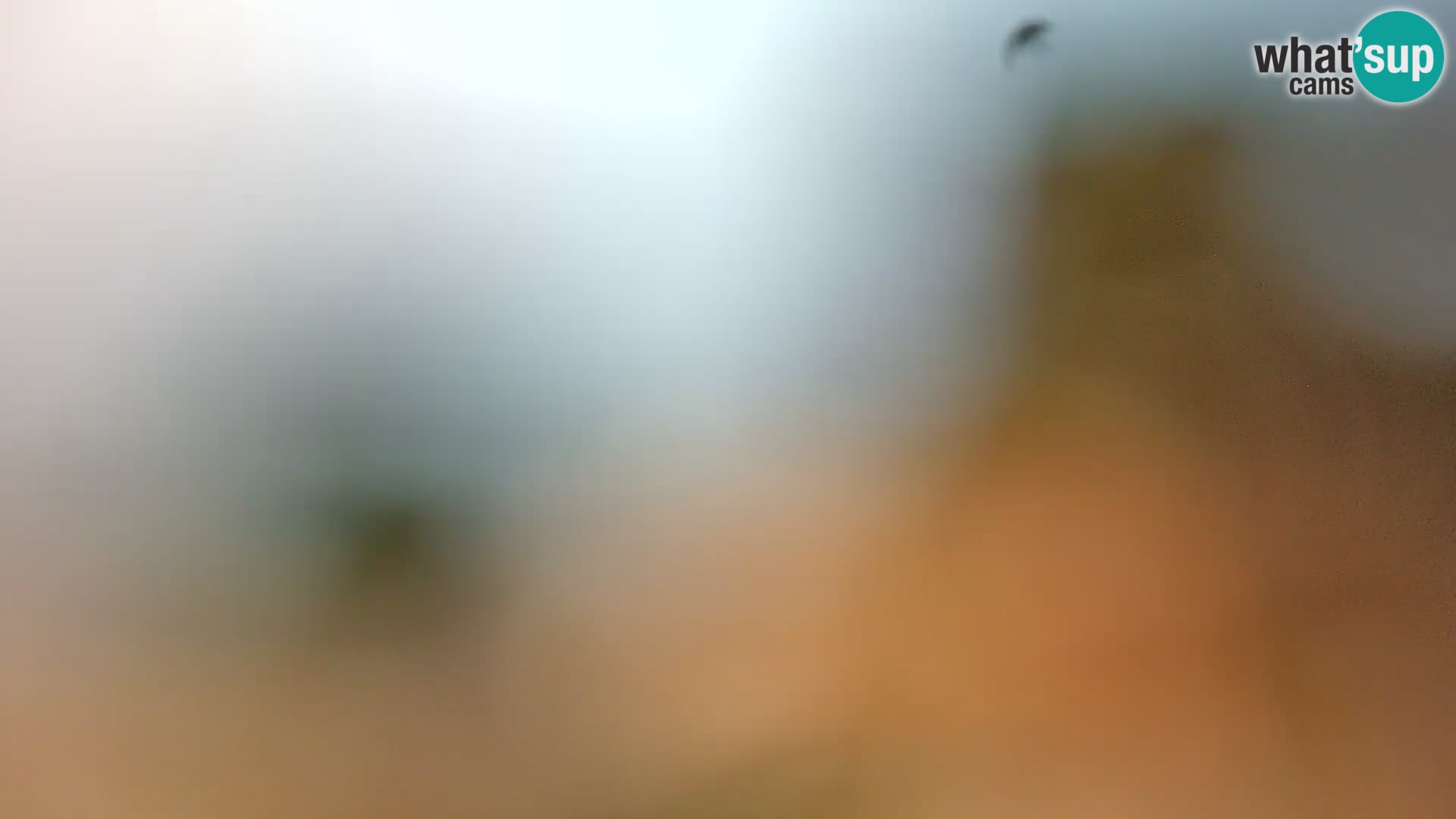 Spletna kamera plaža Borik Rovinj