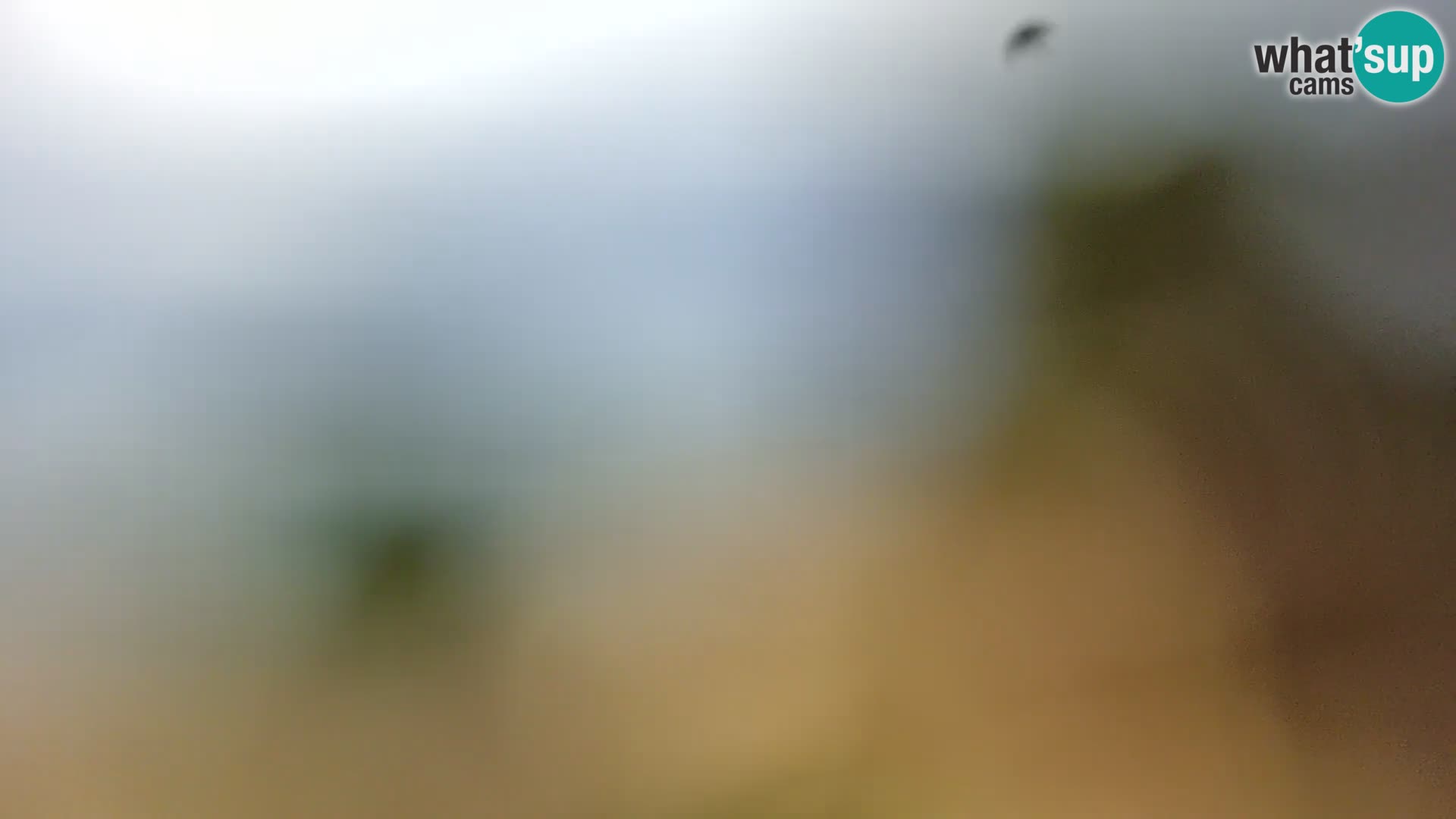 Webcam Spiaggia Borik a Rovigno – Istria