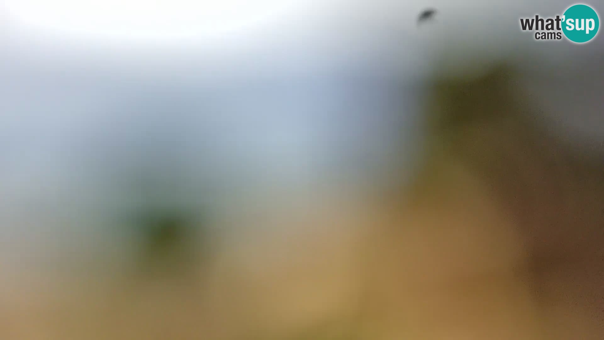 Spletna kamera plaža Borik Rovinj