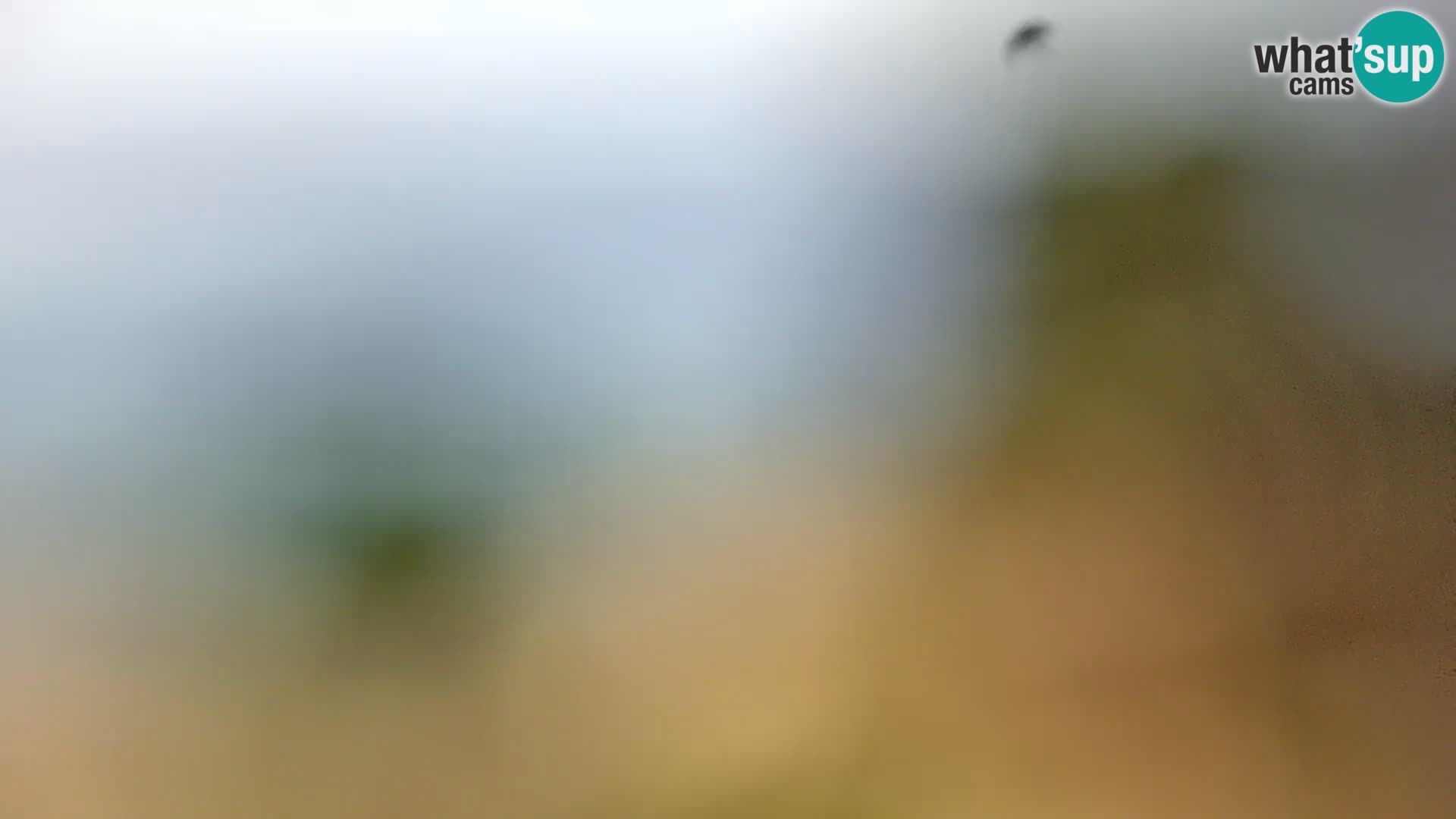 Livecam Borik plage Rovinj – Istrie