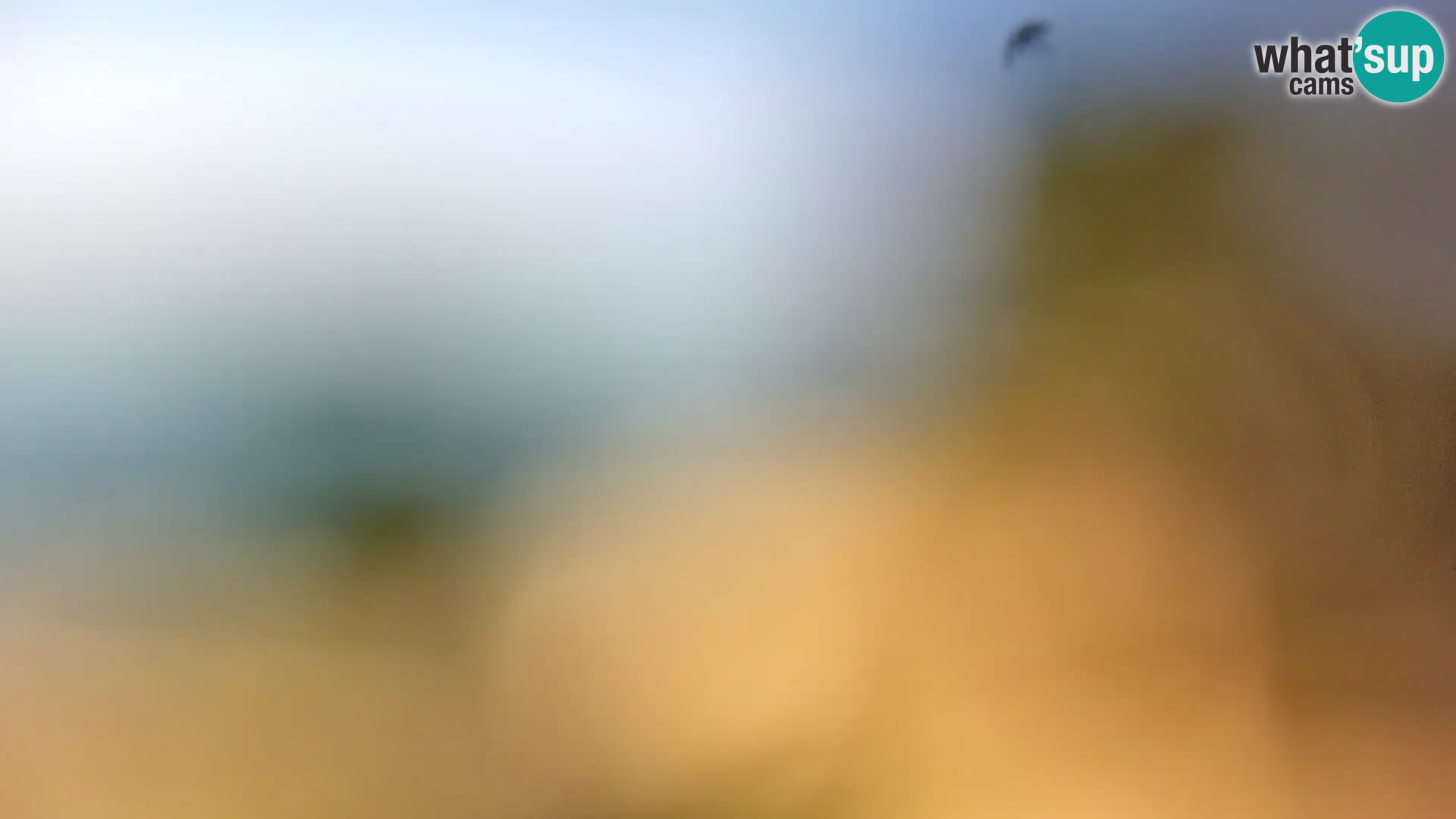 Spletna kamera plaža Borik Rovinj