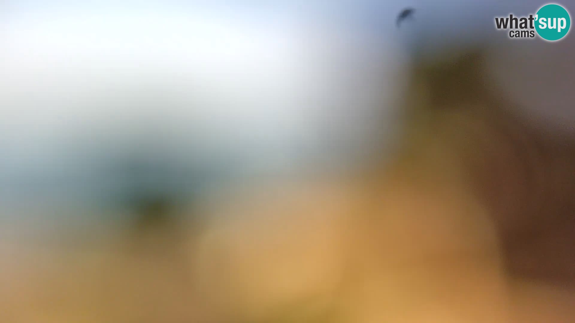 Webcam Spiaggia Borik a Rovigno – Istria