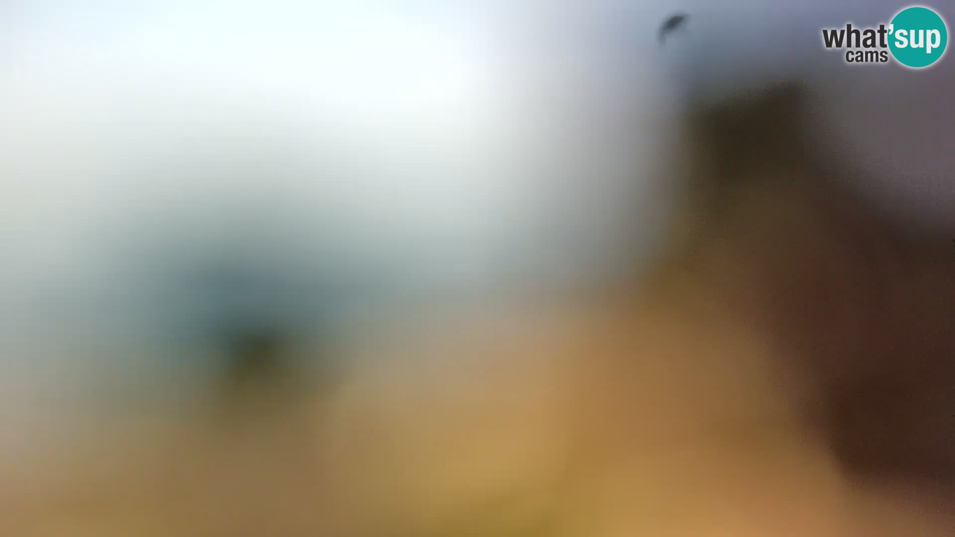 Webcam Spiaggia Borik a Rovigno – Istria