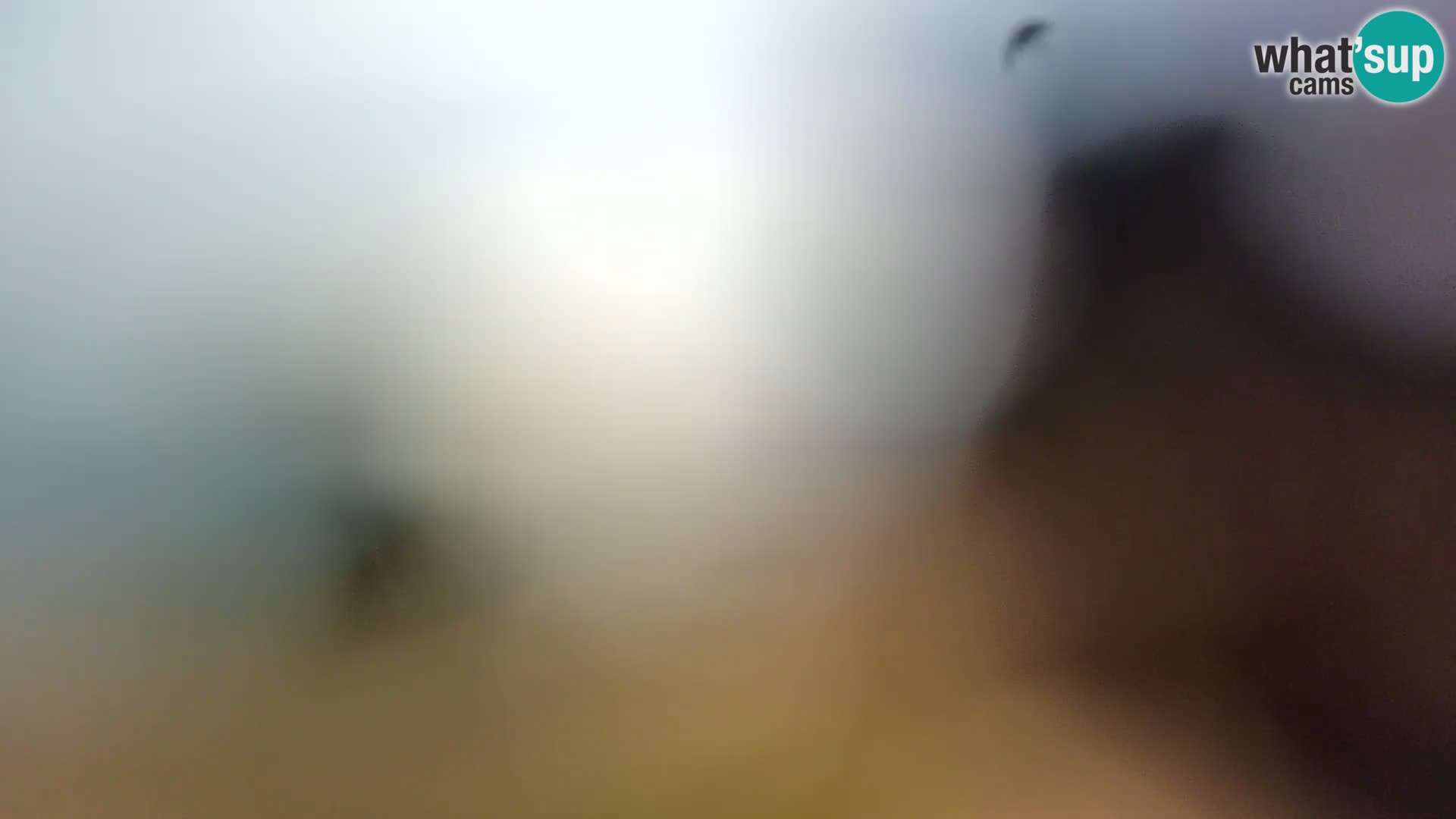 Webcam Spiaggia Borik a Rovigno – Istria