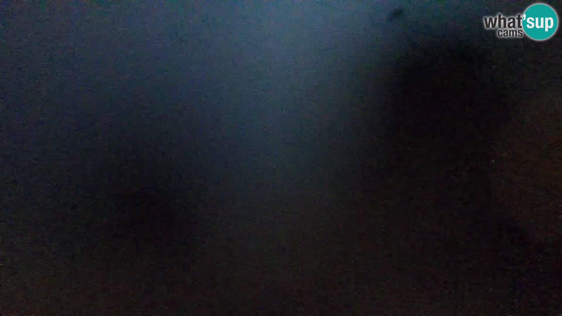 Webcam Spiaggia Borik a Rovigno – Istria