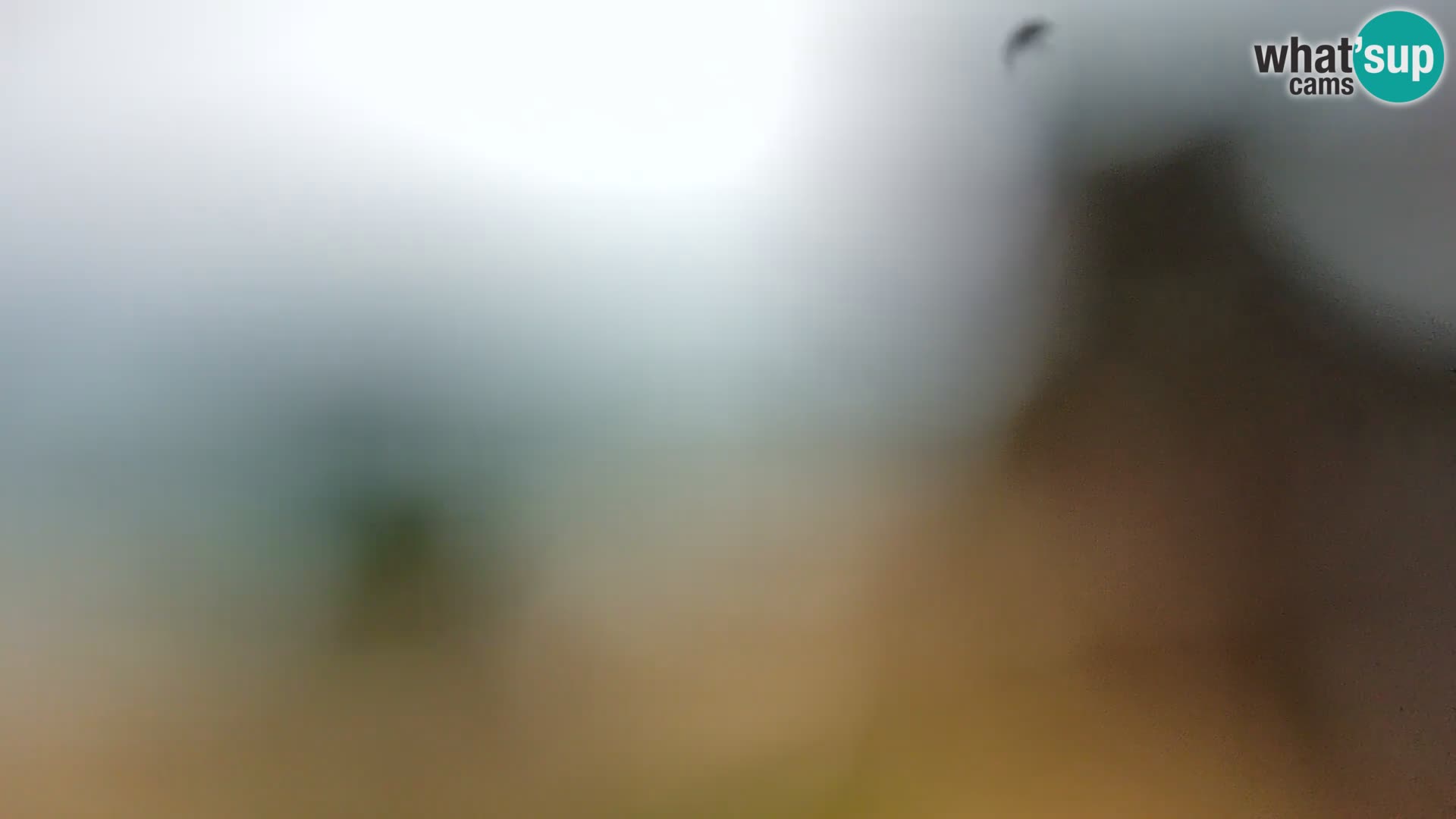 Spletna kamera plaža Borik Rovinj