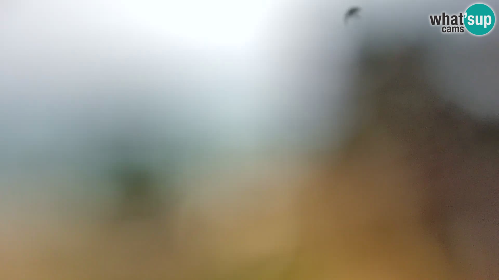 Webcam Borik Strand Rovinj – Istrien