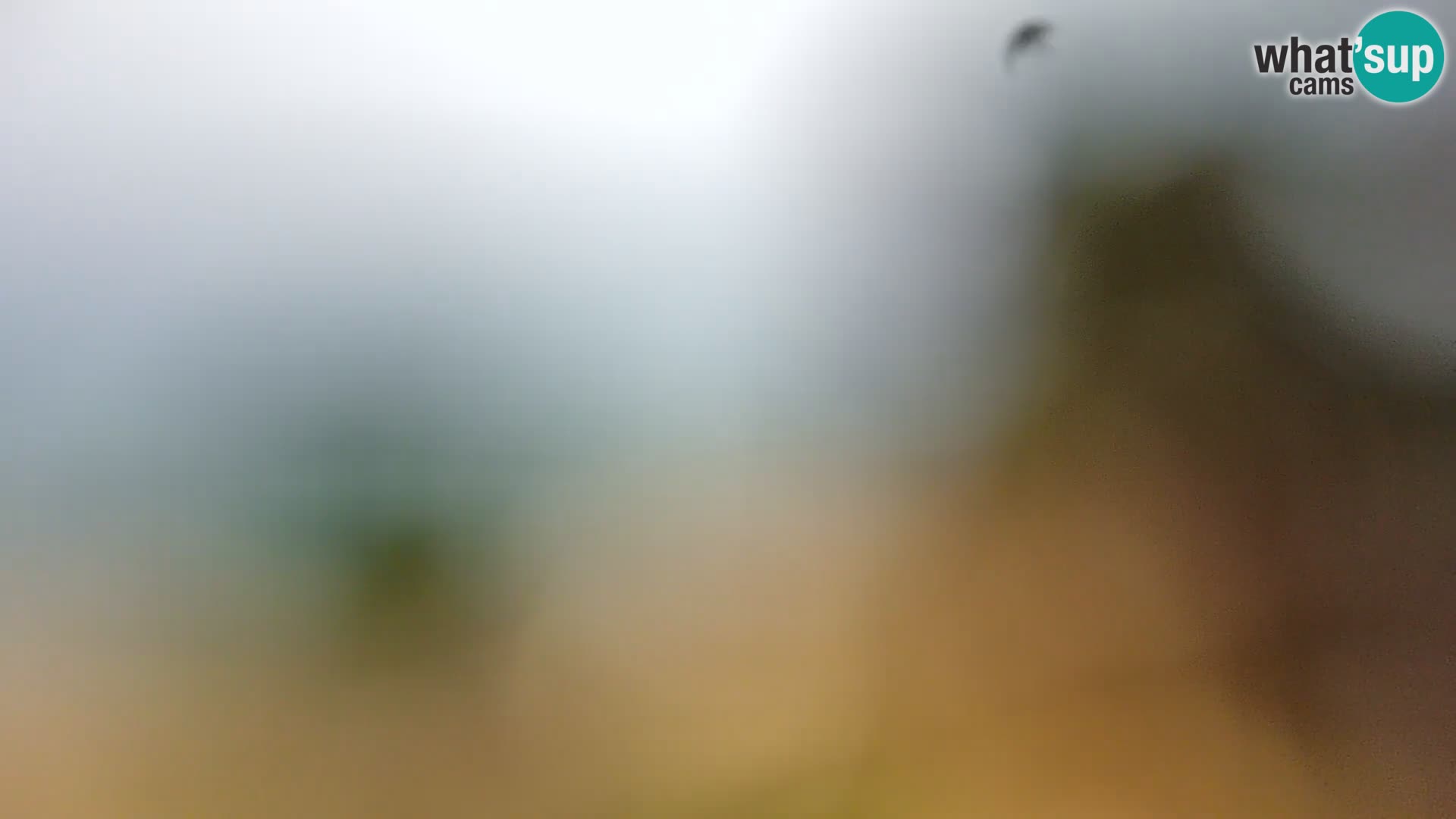 Webcam Borik Strand Rovinj – Istrien