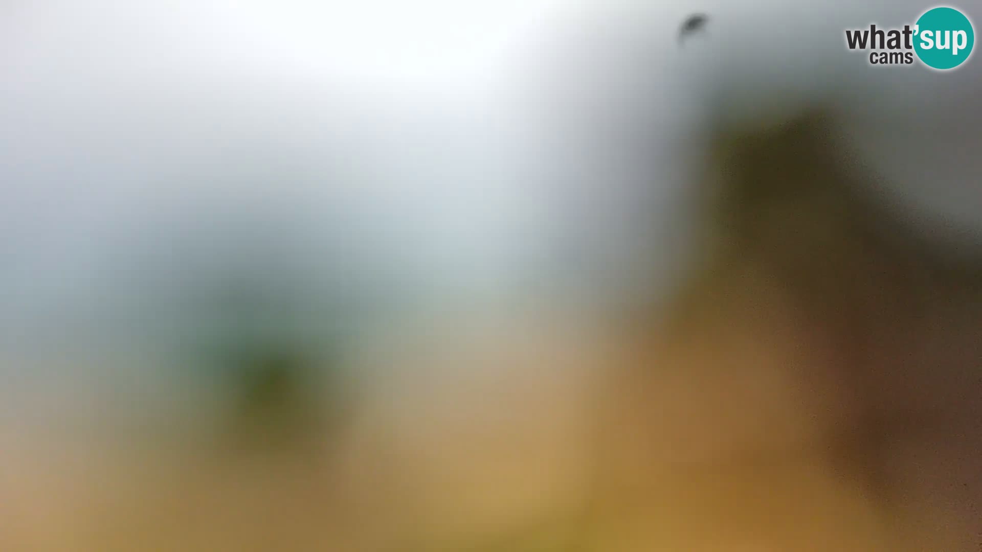 Webcam Spiaggia Borik a Rovigno – Istria