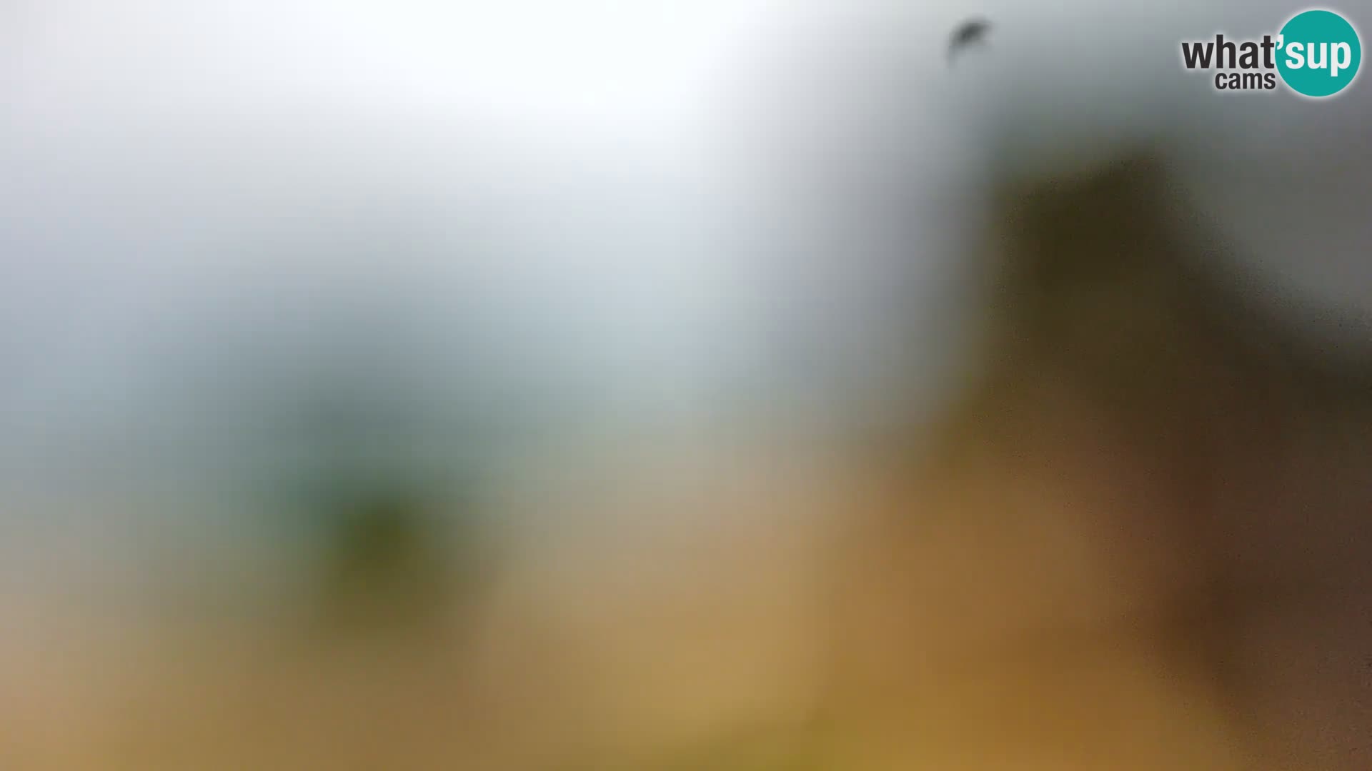 Webcam Borik beach Rovinj – Istria