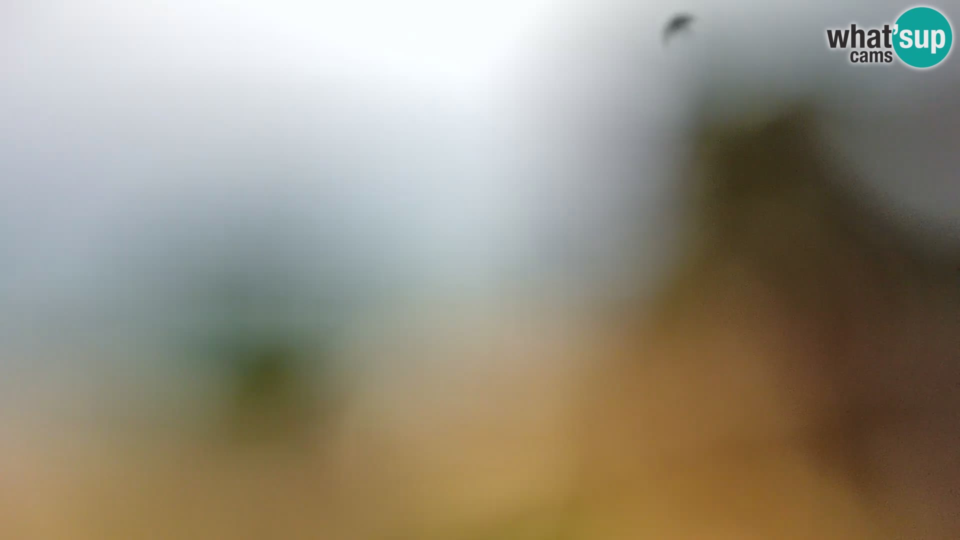 Webcam Borik beach Rovinj – Istria