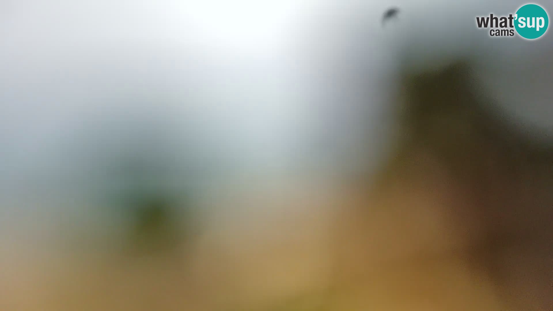 Webcam Borik Strand Rovinj – Istrien