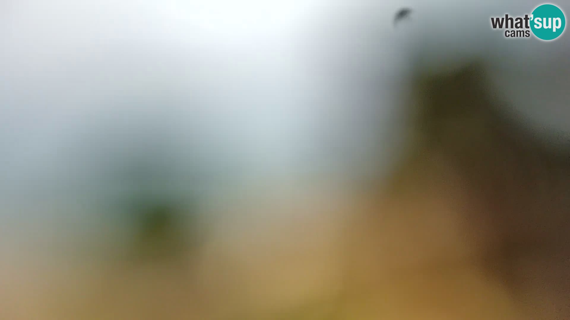 Livecam Borik plage Rovinj – Istrie