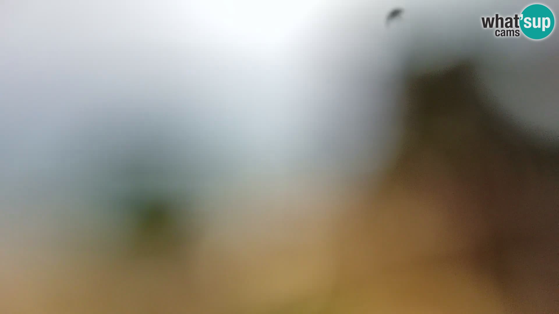 Webcam Borik Strand Rovinj – Istrien