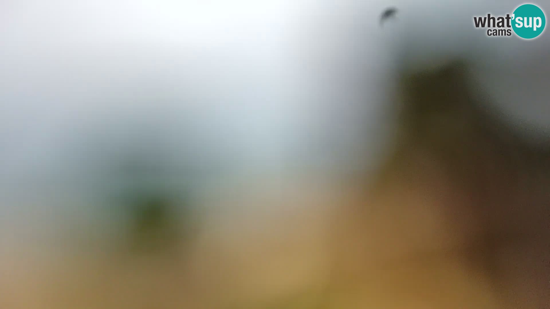 Webcam Spiaggia Borik a Rovigno – Istria