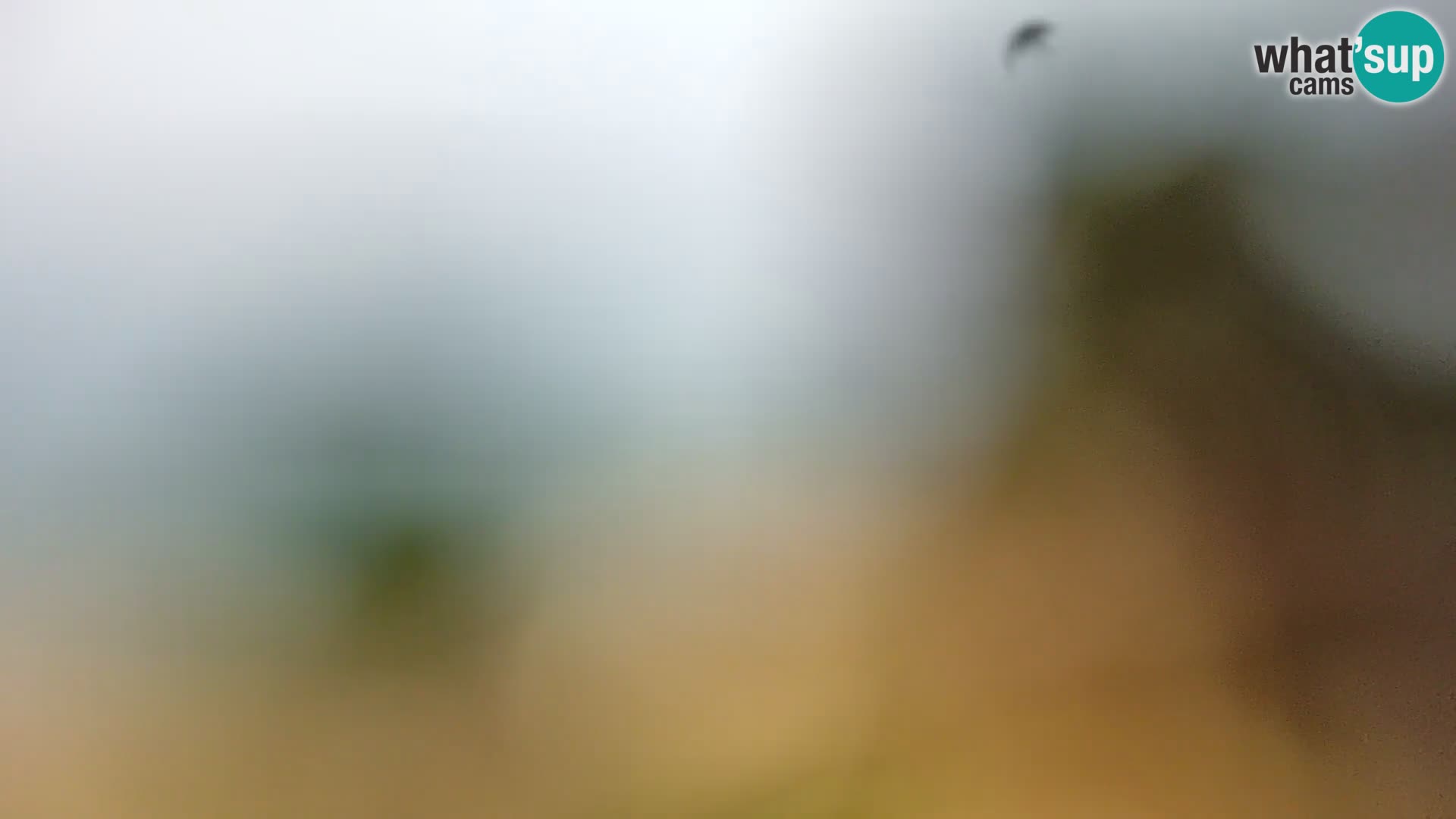 Livecam Borik plage Rovinj – Istrie