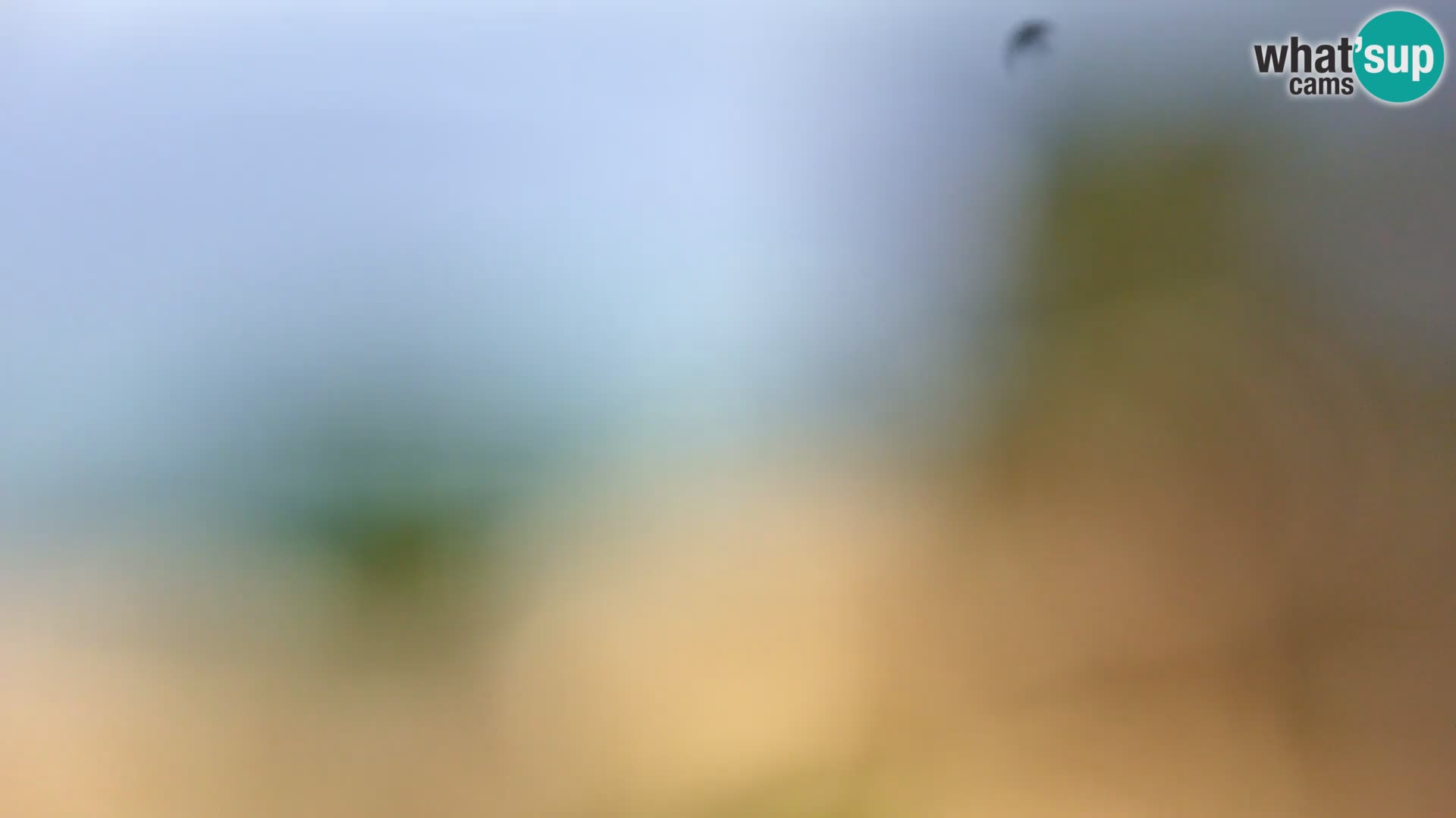 Webcam Spiaggia Borik a Rovigno – Istria