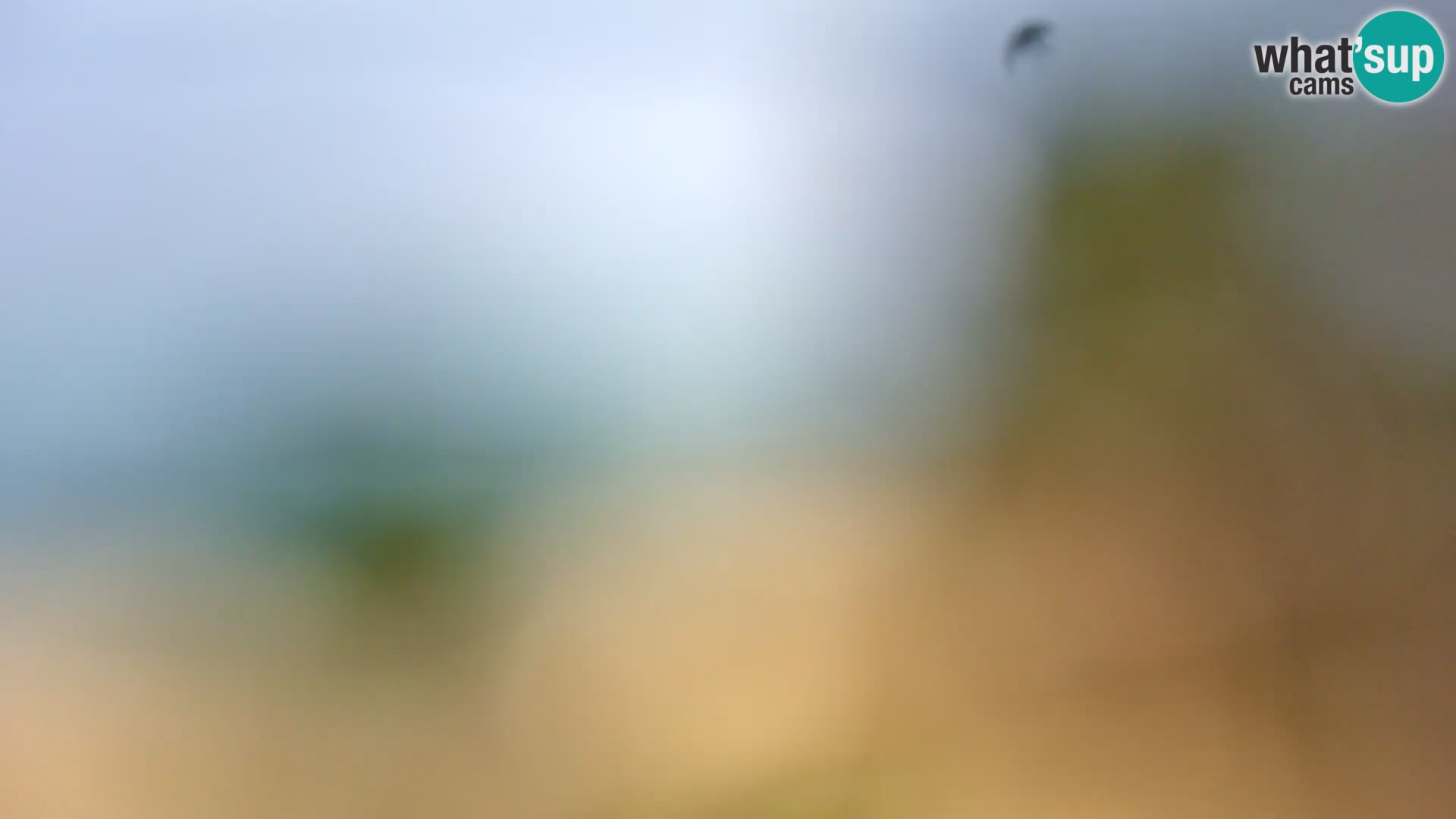 Web kamera Borik plaža Rovinj – Istra