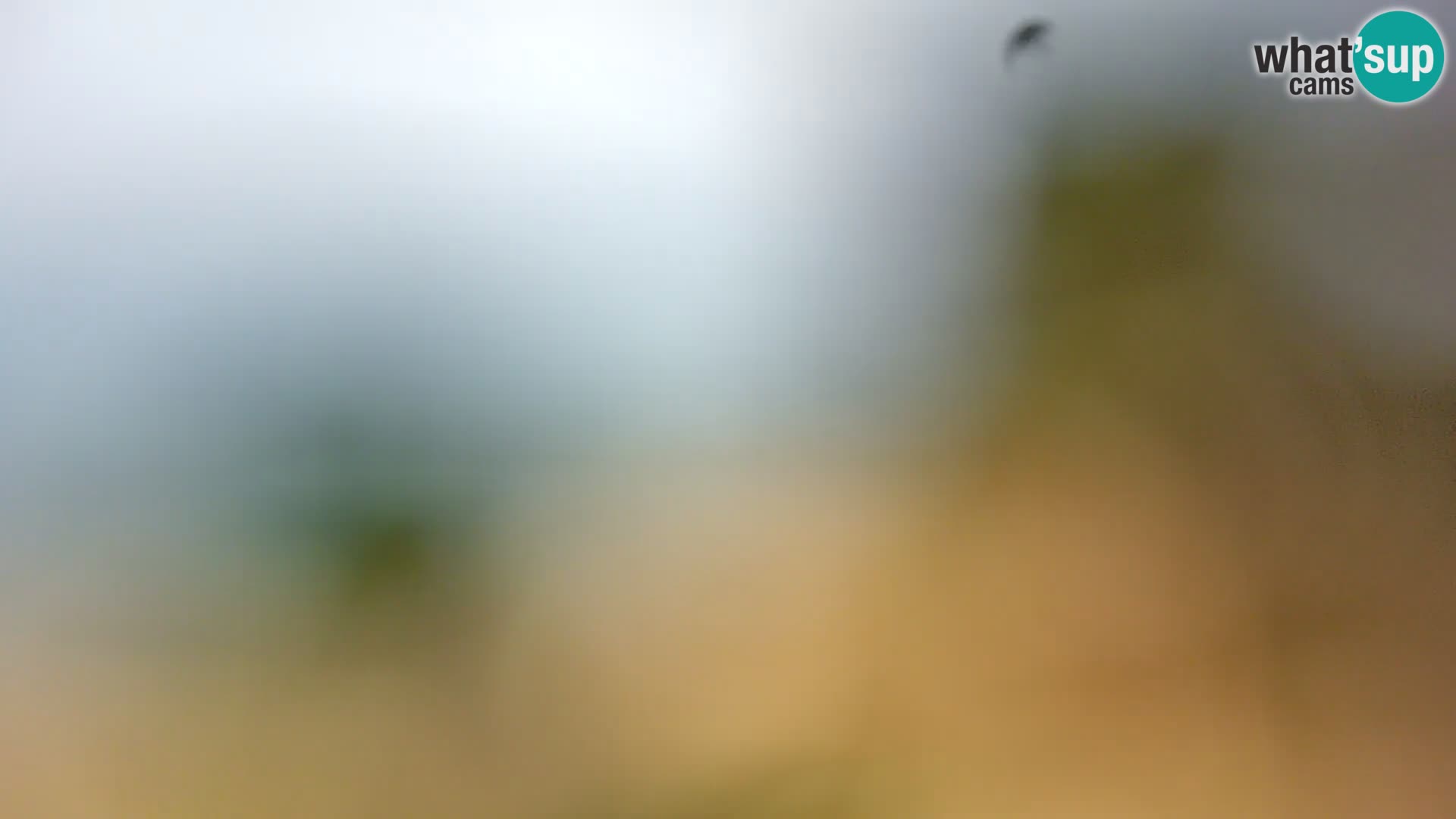 Webcam Spiaggia Borik a Rovigno – Istria