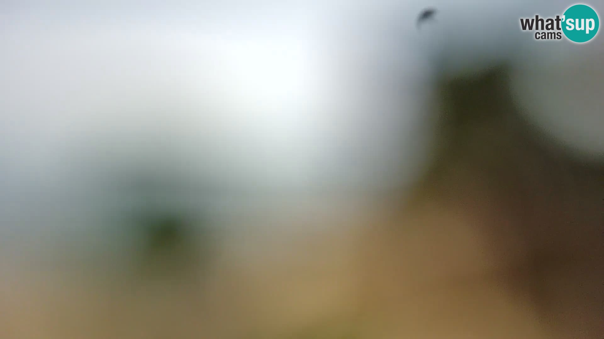 Camera en vivo Borik playa Rovinj – Istria