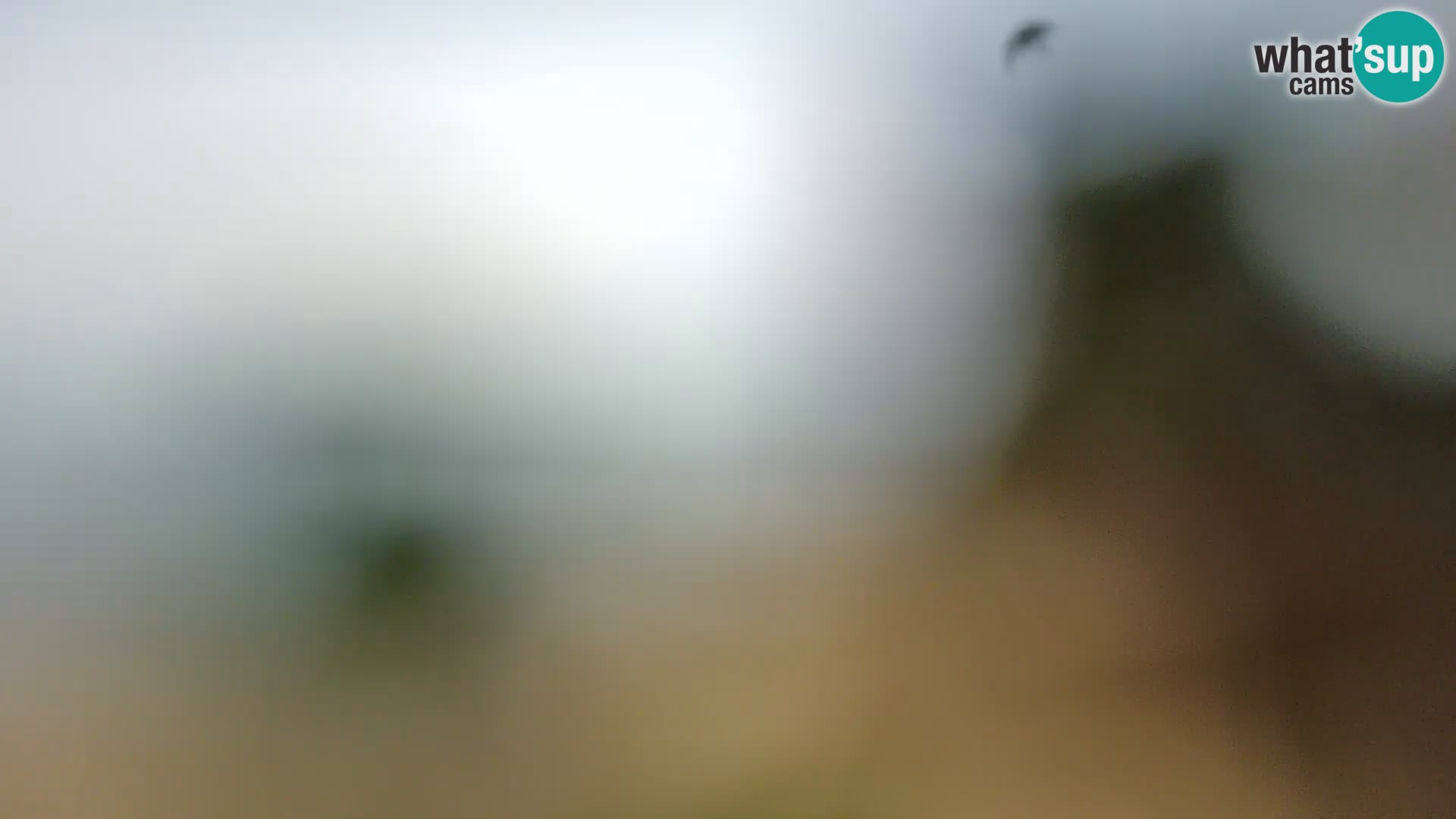 Spletna kamera plaža Borik Rovinj