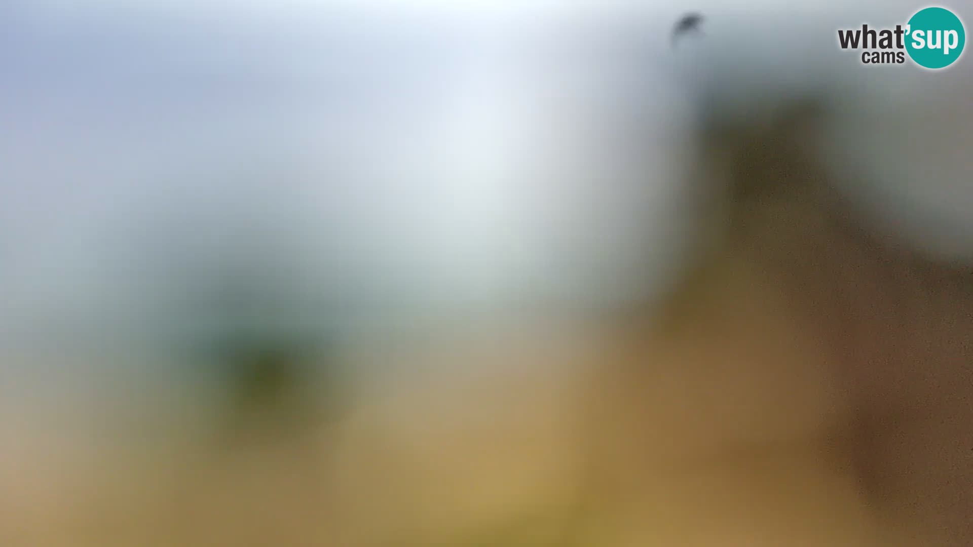 Camera en vivo Borik playa Rovinj – Istria