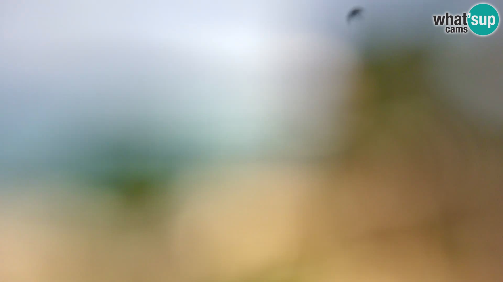 Spletna kamera plaža Borik Rovinj