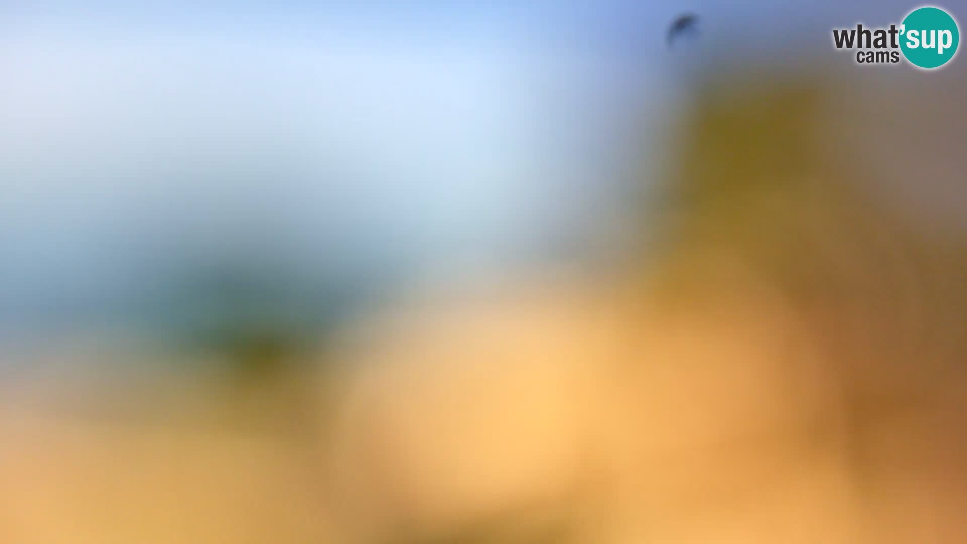 Camera en vivo Borik playa Rovinj – Istria