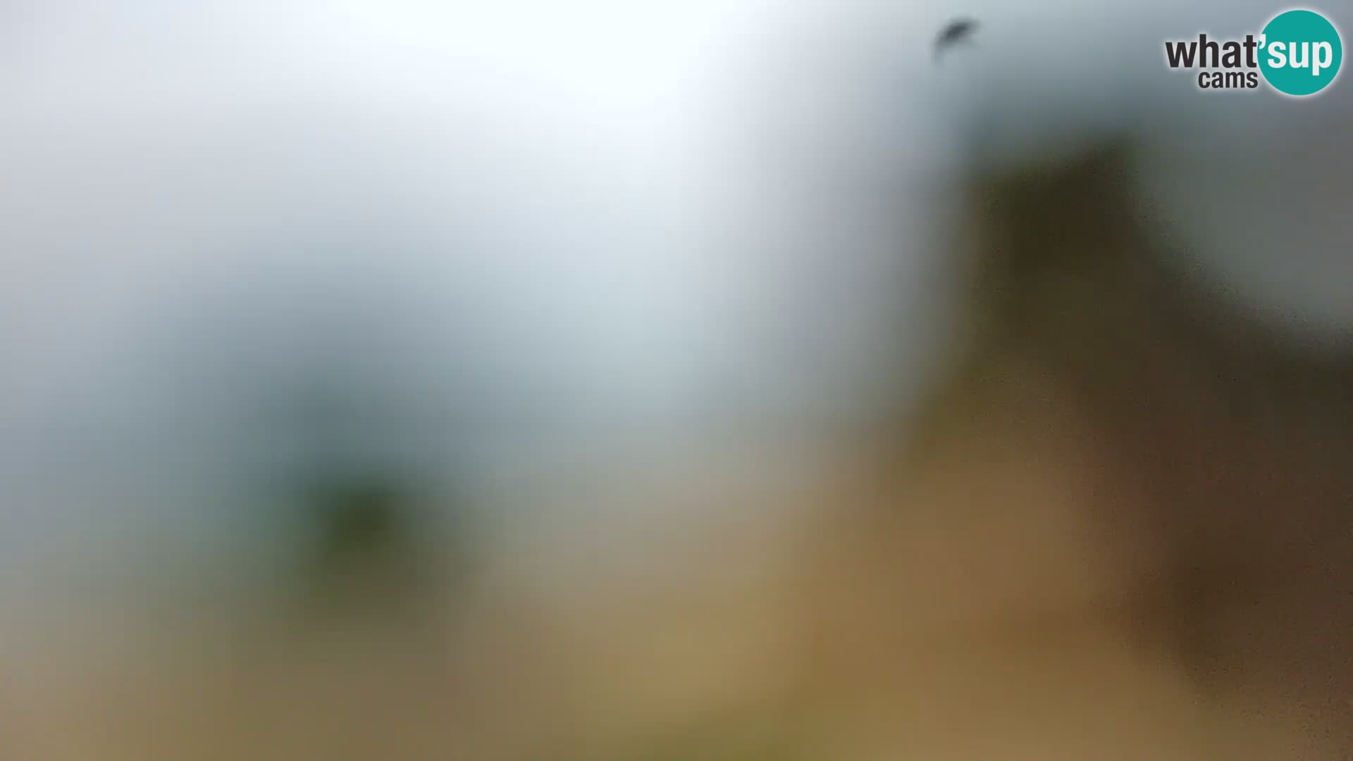 Livecam Borik plage Rovinj – Istrie