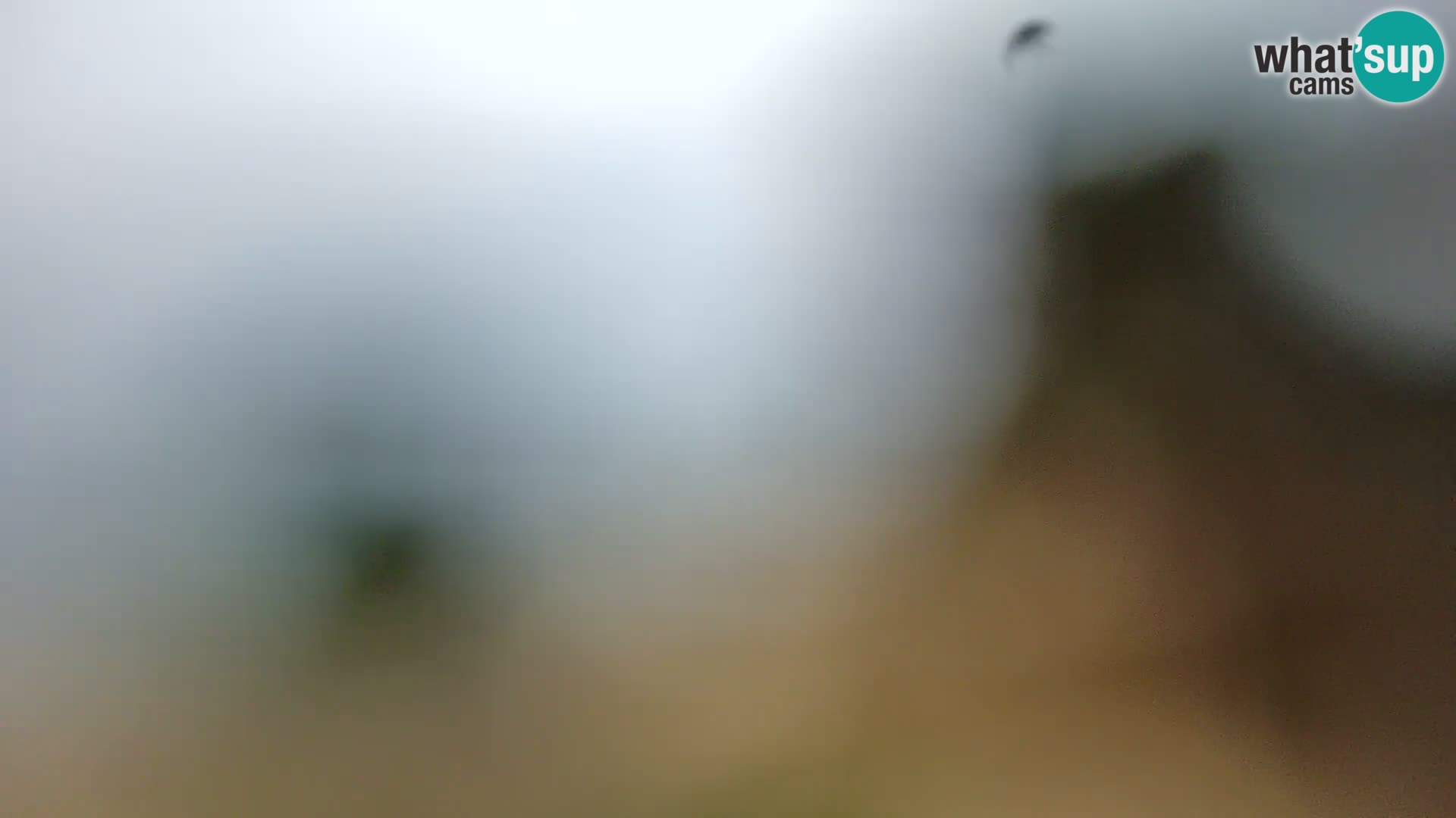 Spletna kamera plaža Borik Rovinj