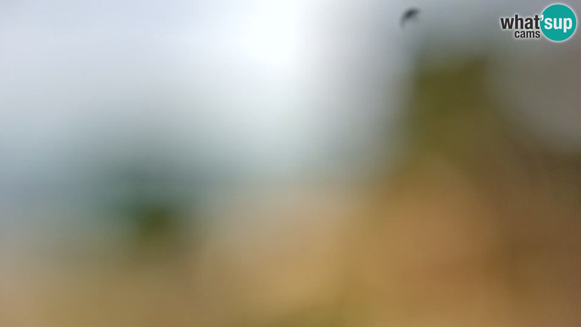 Spletna kamera plaža Borik Rovinj