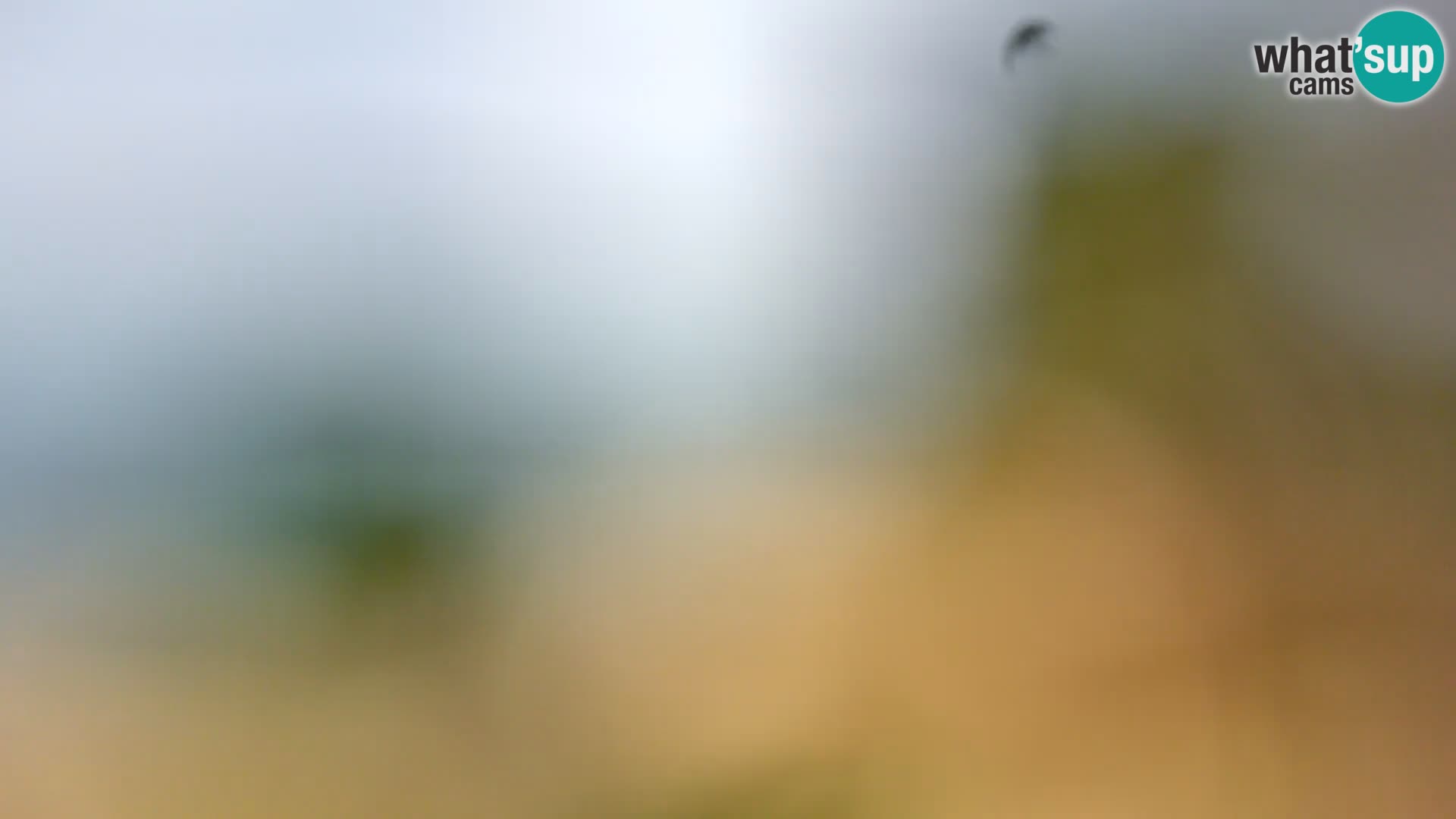 Livecam Borik plage Rovinj – Istrie