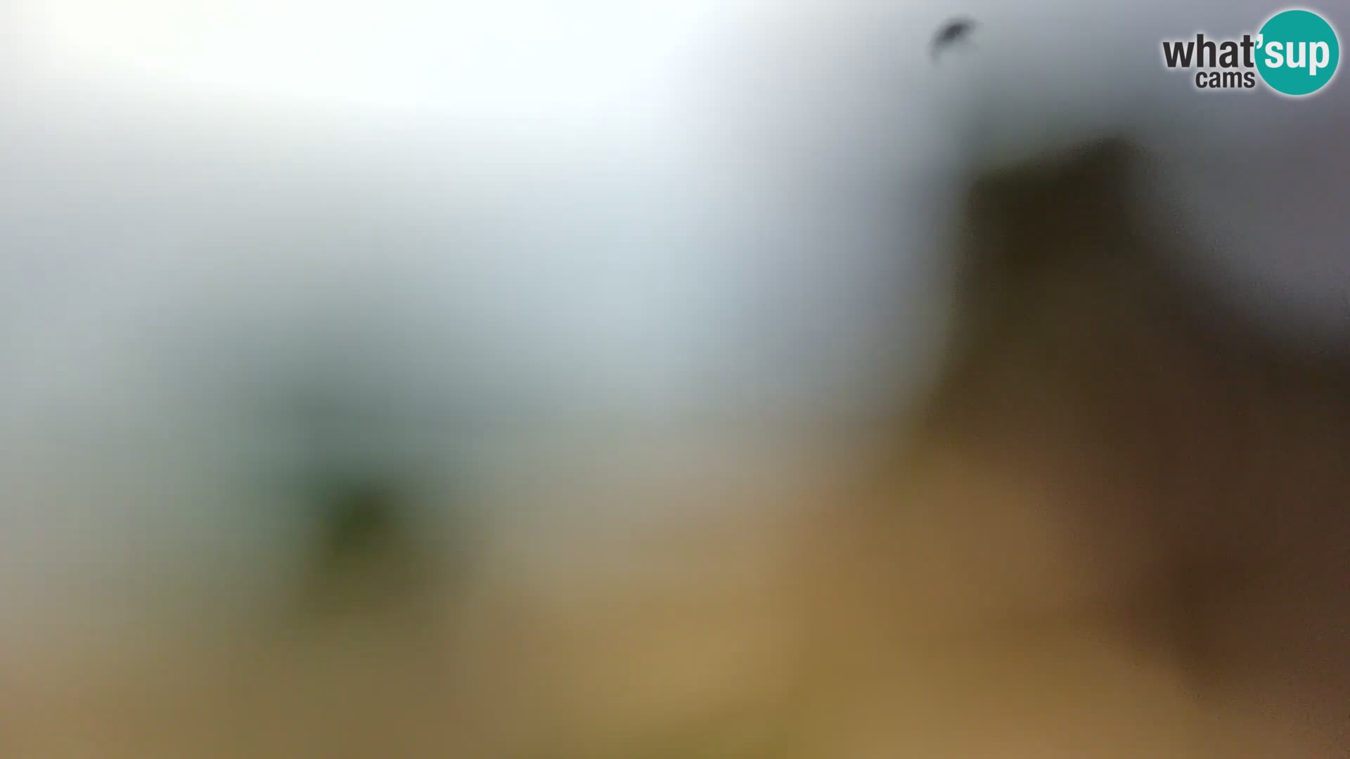 Camera en vivo Borik playa Rovinj – Istria