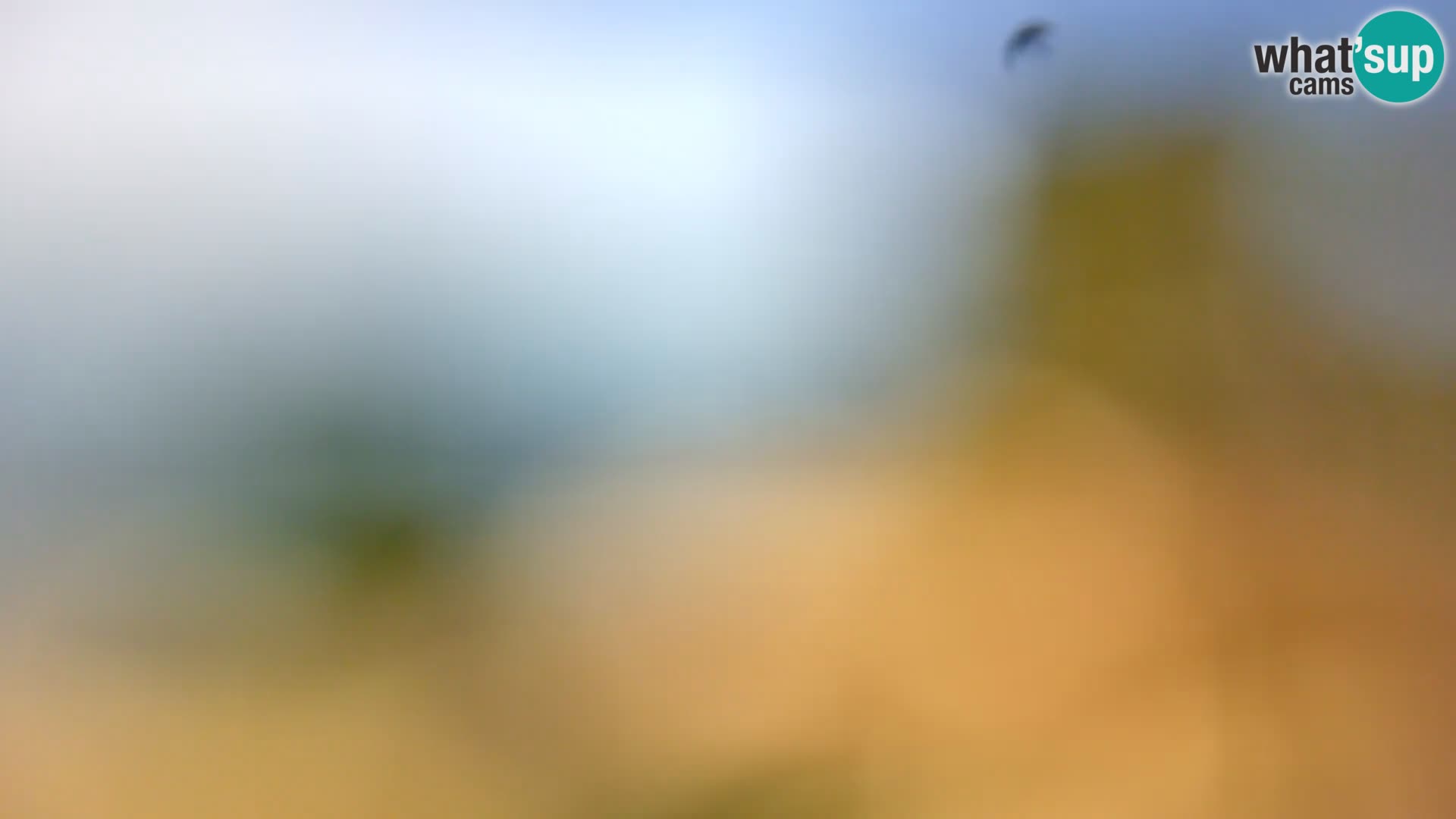 Webcam Spiaggia Borik a Rovigno – Istria