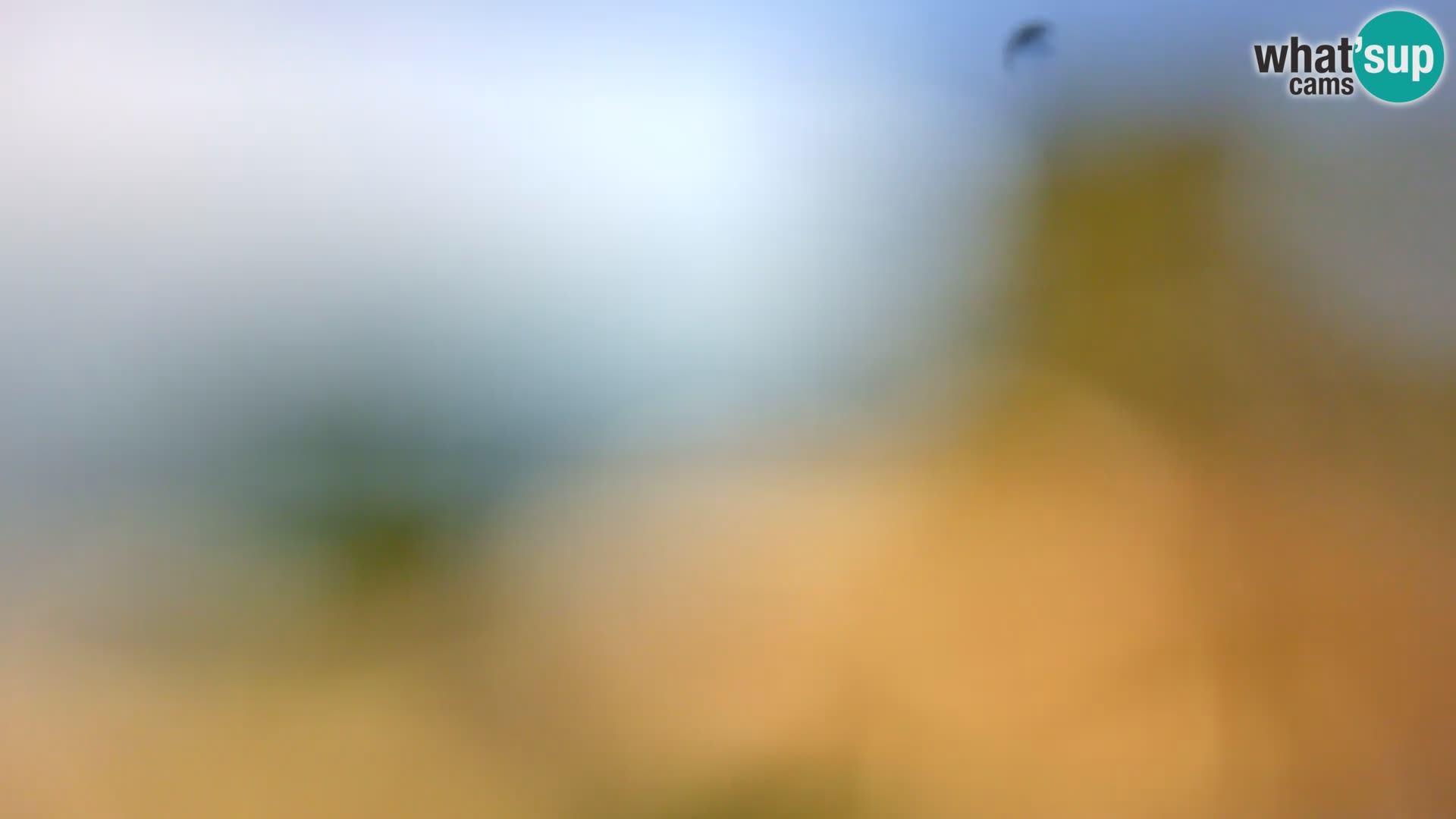 Livecam Borik plage Rovinj – Istrie